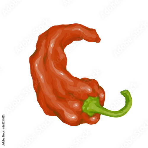 A pod of red hot chili pepper. Vector graphics.