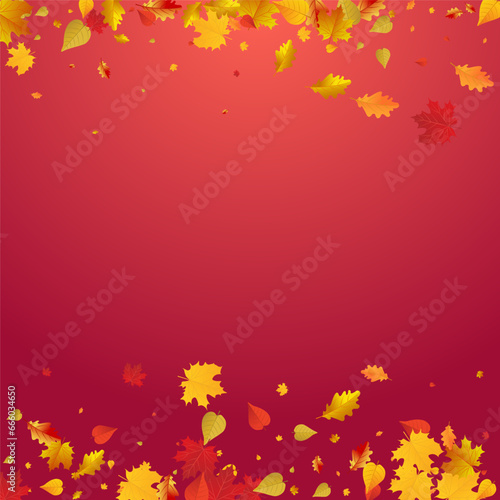 Colorful Leaves Vector Red Background. Abstract