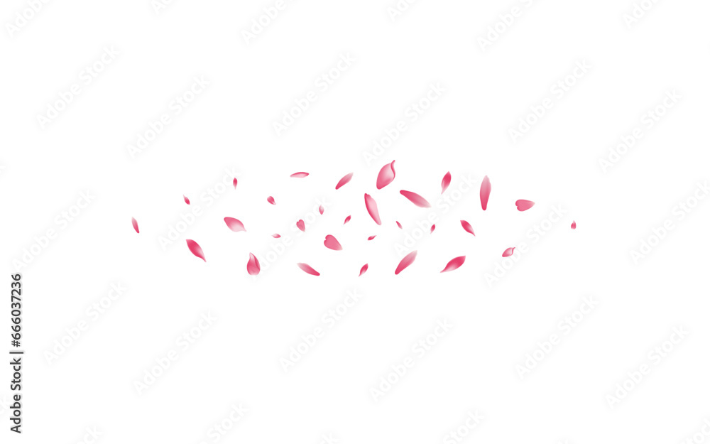 White Lotus Petal Vector White Background. Purple White Lotus Petal Vector White Background. Purple