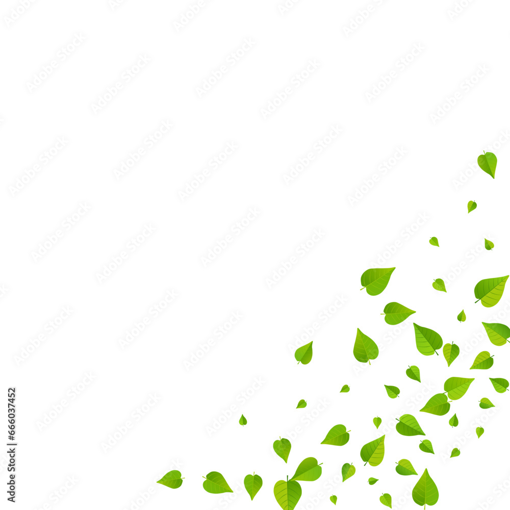Fototapeta premium Swamp Leaves Falling Vector White Background
