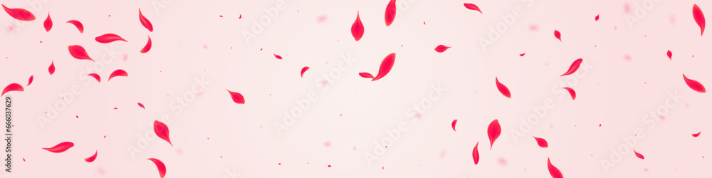 Red Lotus Vector Pink Panoramic Background. Fly - obrazy, fototapety, plakaty 