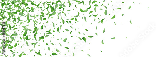 Grassy Foliage Motion Vector Panoramic White