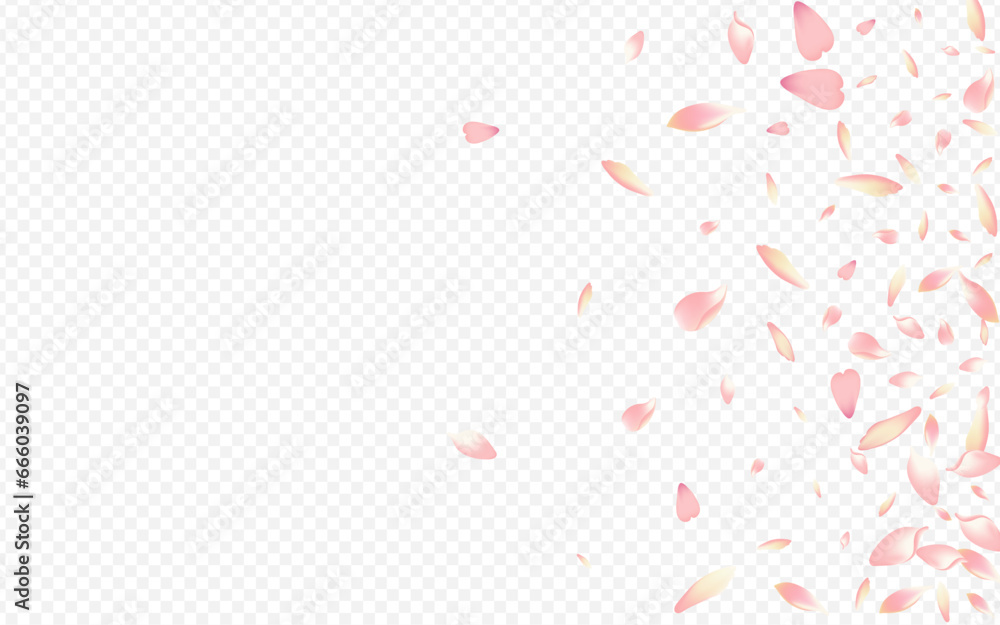 Light Apple Vector Transparent Background. Bloom