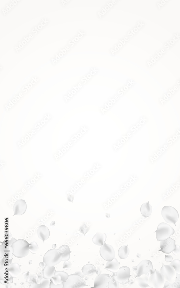 Gray Sakura Vector Light Background. White Flying Gray Sakura Vector Light Background. White Flying