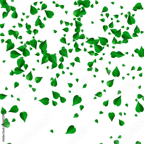 Green Greens Flying Vector White Background