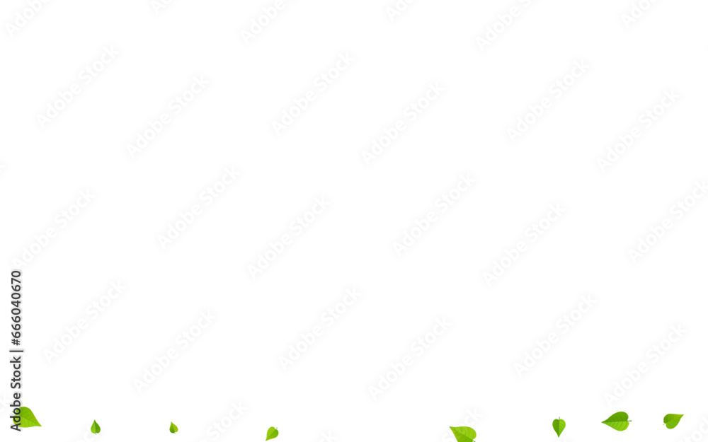 Lime Leaves Forest Vector White Background Lime Leaves Forest Vector White Background