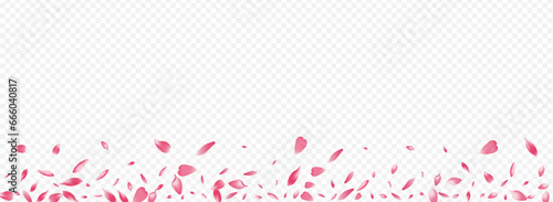 White Apple Petal Vector Panoramic Background.