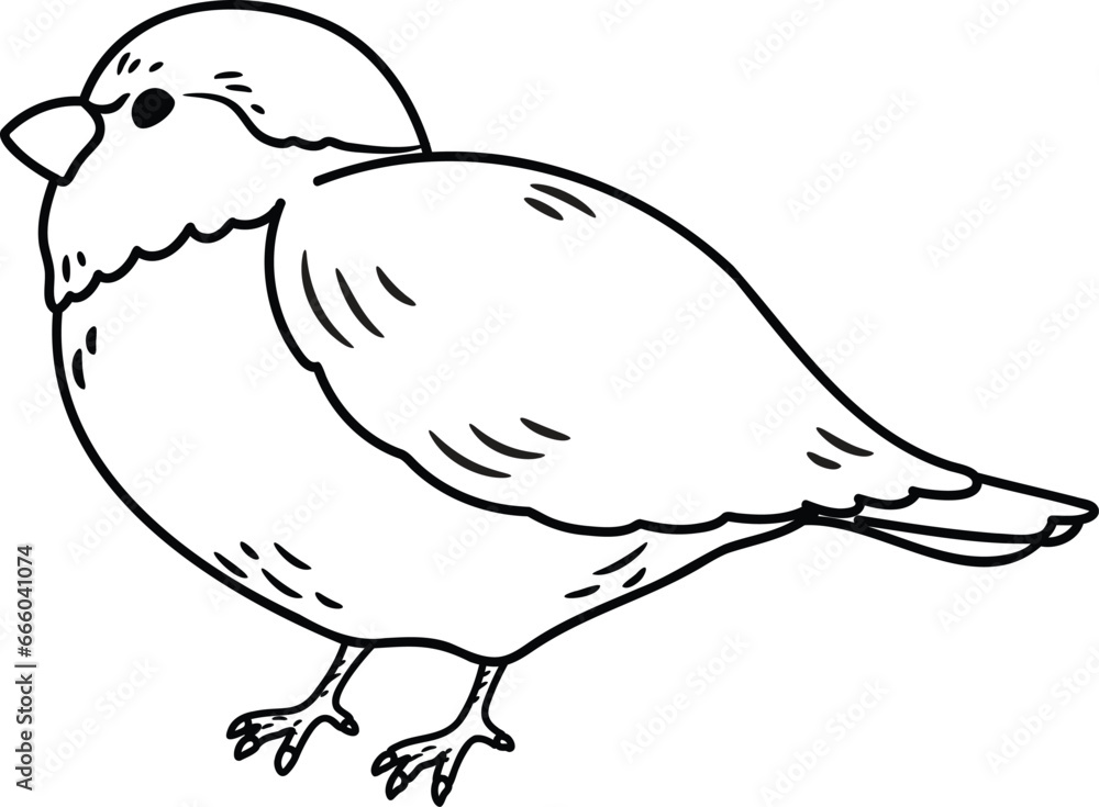 Simple and adorable Sparrow illustration with only outlines Simple and adorable Sparrow illustration with only outlines