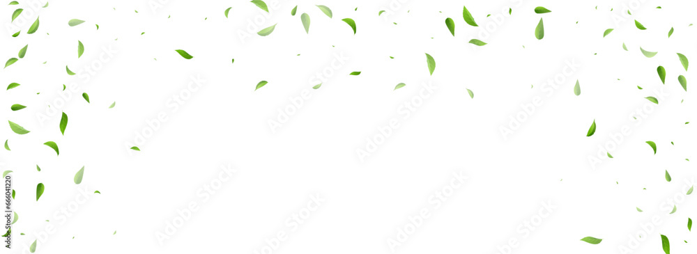 Obraz premium Green Greens Fly Vector Panoramic White