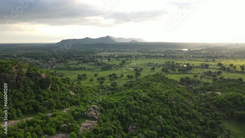 Drone shot over lush green fields as is moves over rural landscape in India during sunset. Aerial shot of green farmlands during sunset in India.