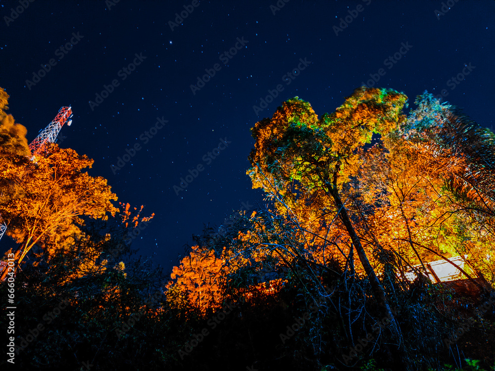 Light of night Light of night