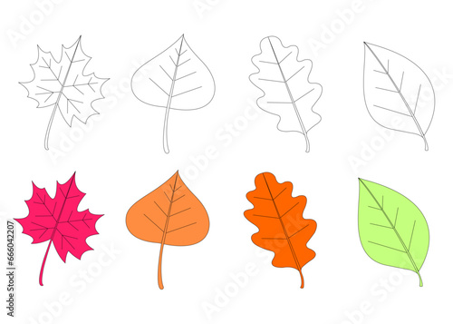 Autumn leaves and berries. Hand drawn autumn forest leaves set, Set of Autumn Leafs