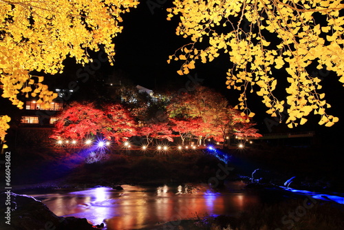 東京都青梅市御岳渓谷の紅葉ライトアップ