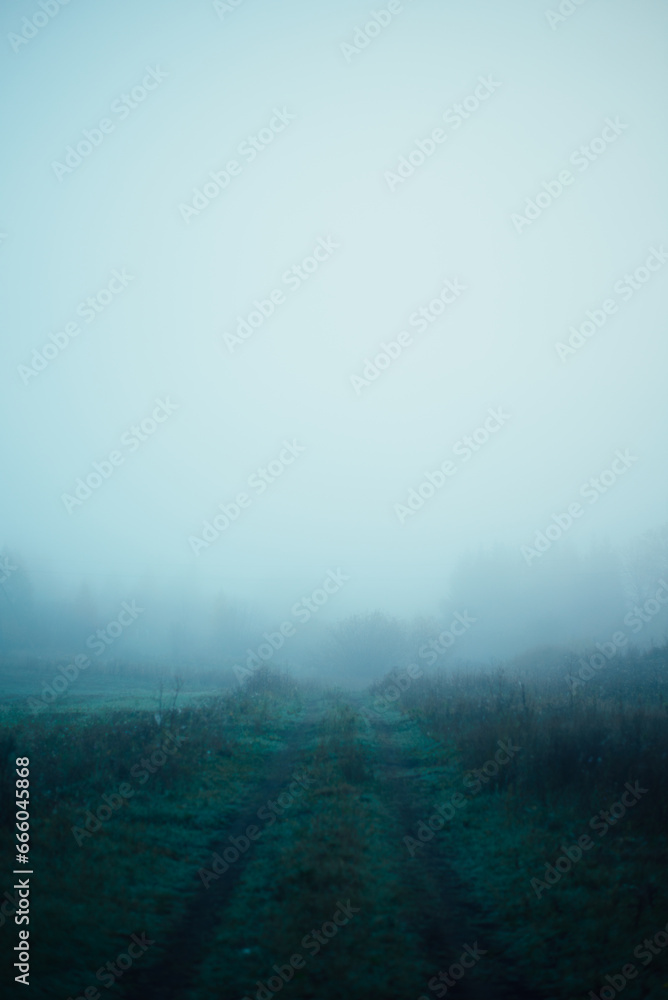 rural road in fog