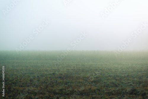 Panorama of the meadow on a foggy morning