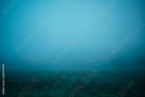 Panorama of the meadow on a foggy morning