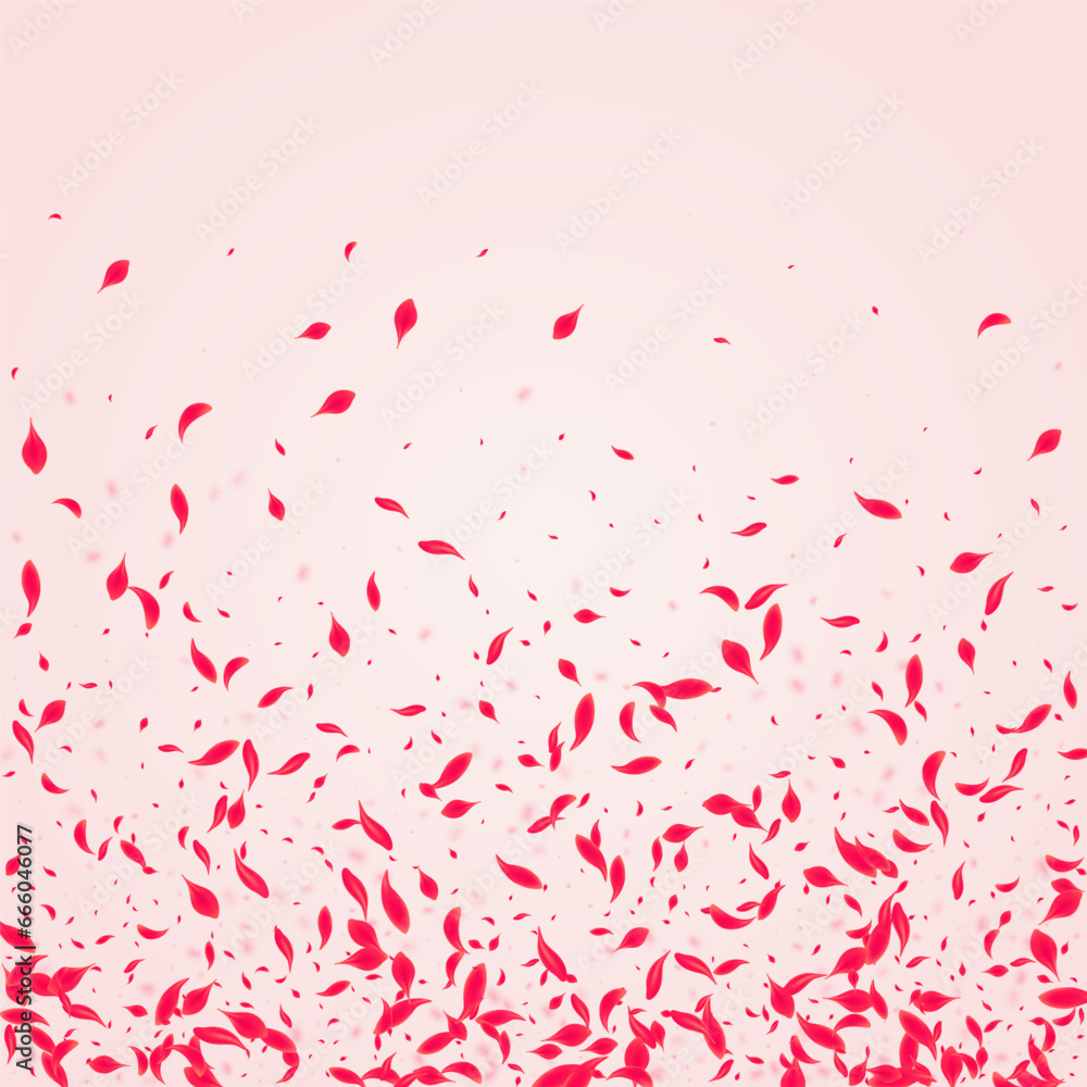 Carmine Sakura Vector Pink Background. Fall