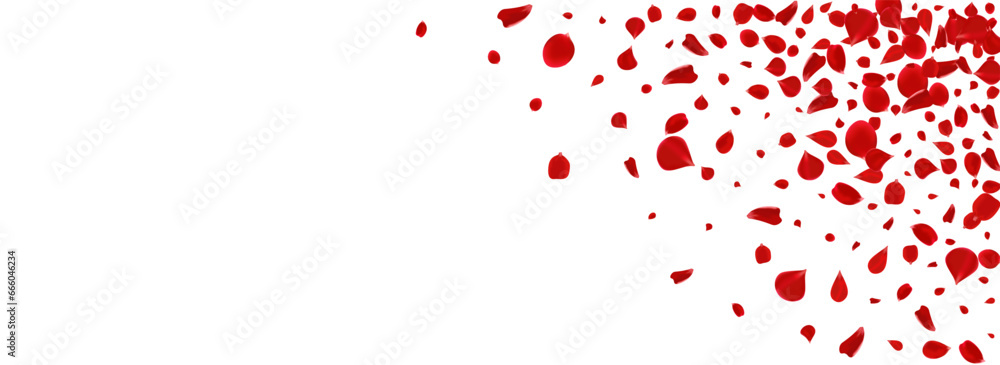 Fototapeta premium Delicate Blossom Flying Vector Panoramic White