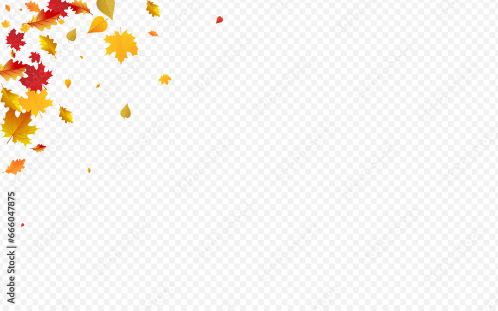Autumnal Floral Vector Transparent Background. Autumnal Floral Vector Transparent Background.