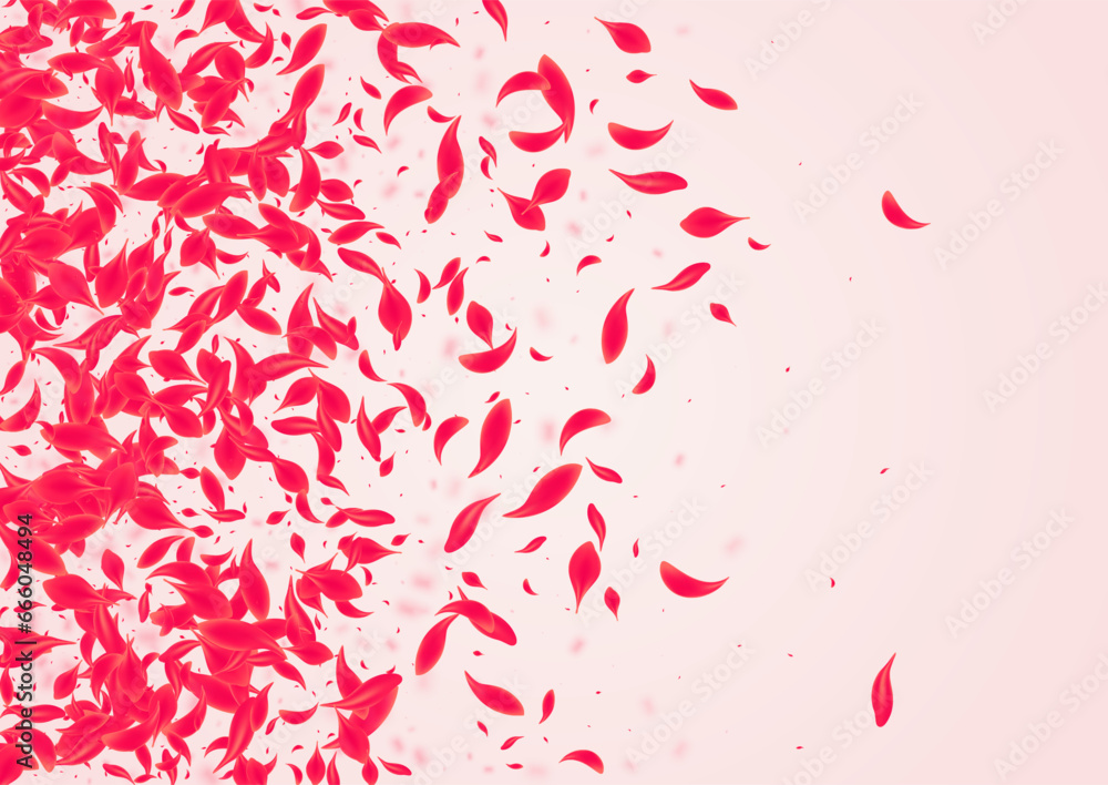 Carmine Cherry Vector Pink Background. Fly Sakura