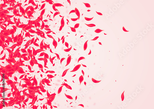 Carmine Cherry Vector Pink Background. Fly Sakura