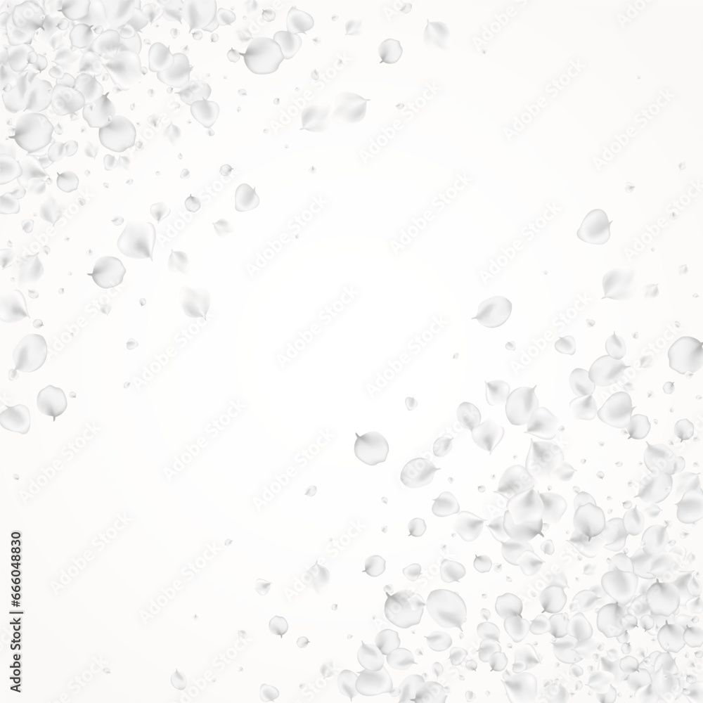 custom made wallpaper toronto digitalWhite Lotus Vector Light Background. Gray Summer