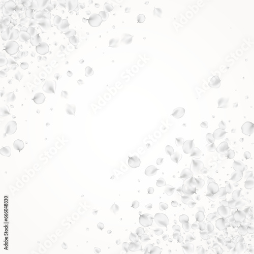 Wallpaper Mural White Lotus Vector Light Background. Gray Summer Torontodigital.ca