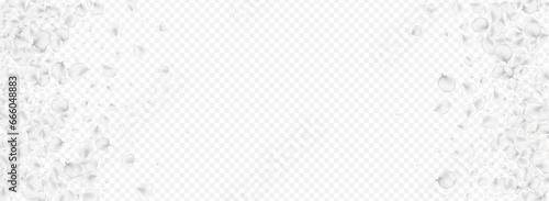 Snowy Cherry Vector Transparent Panoramic