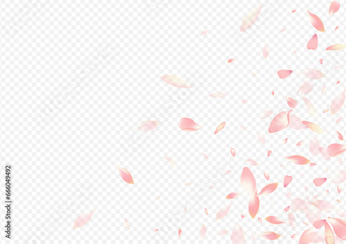 White Tree Vector Transparent Background.