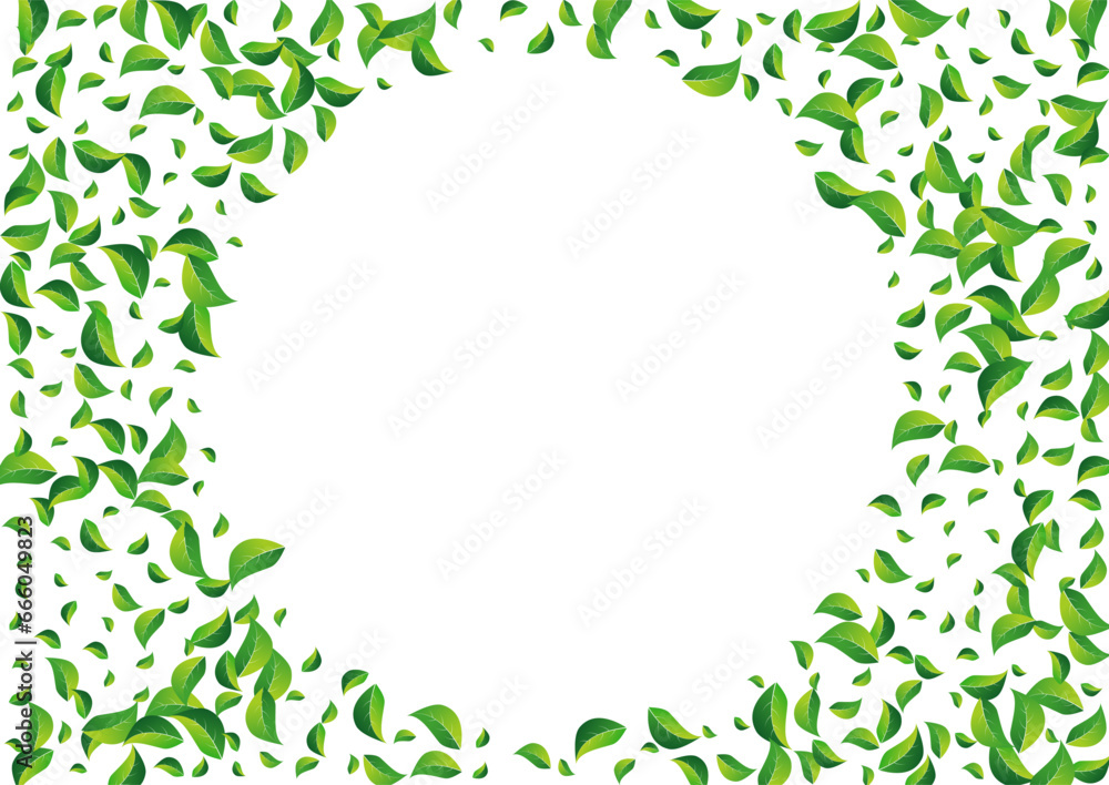 Swamp Leaf Swirl Vector White Background. Blur