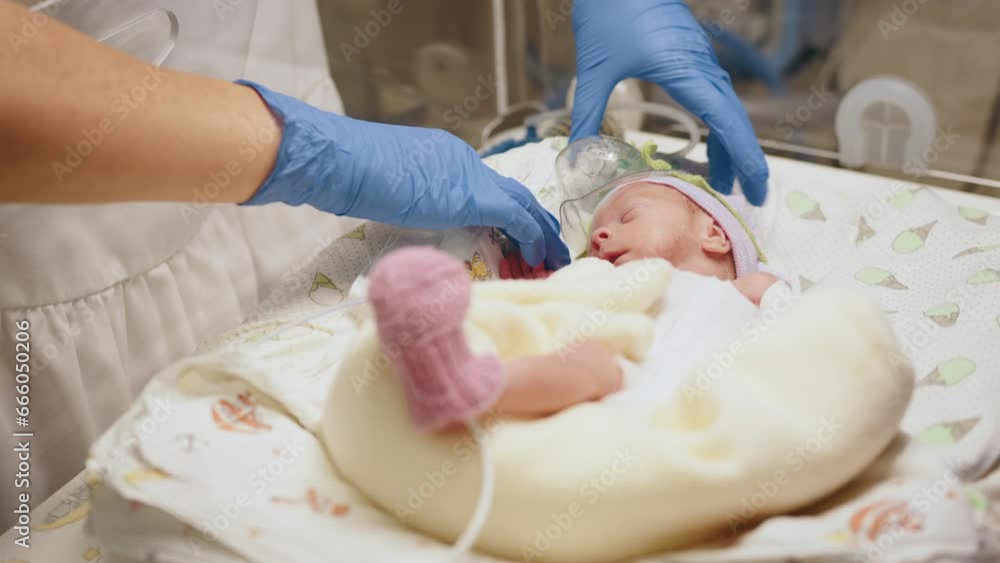 Unrecognizable hand in gloves of nurse or doctor taking care of premature baby placed in a medical incubator. Neonatal intensive care unit in hospital Unrecognizable hand in gloves of nurse or doctor taking care of premature baby placed in a medical incubator. Neonatal intensive care unit in hospital