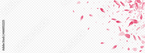 Color Rosa Vector Panoramic Transparent