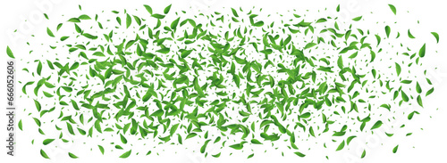 Forest Leaf Wind Vector Panoramic White