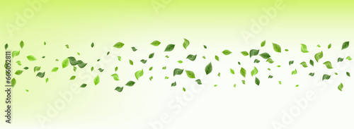 Swamp Leaf Fly Vector Panoramic Green Background
