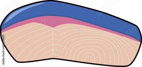 鰤の切り身のイラスト
