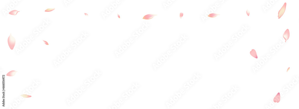 Pastel Rose Petal Vector White Background. Pink