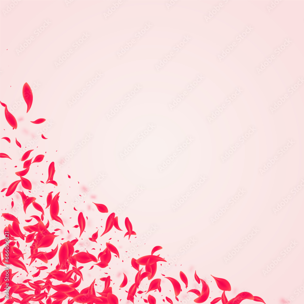 Carmine Peach Vector Pink Background. Fall Flower Carmine Peach Vector Pink Background. Fall Flower
