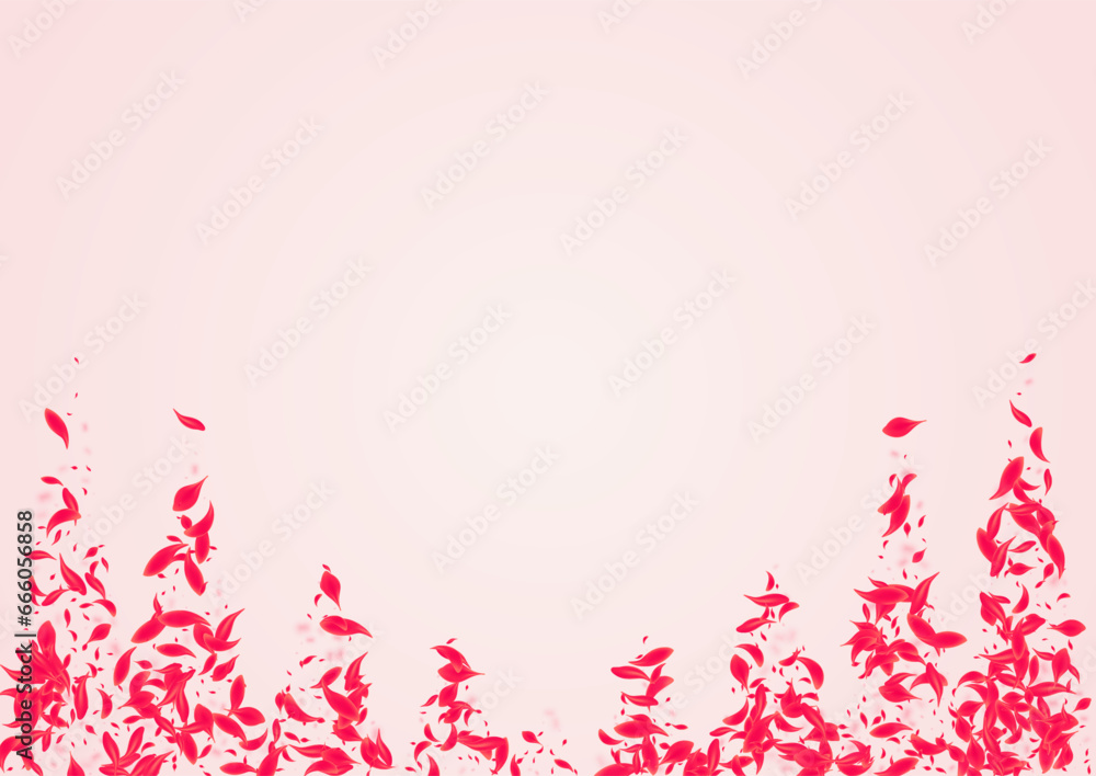 Scarlet Peach Vector Pink Background. Falling