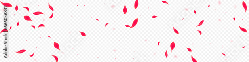 Red Floral Vector Transparent Panoramic