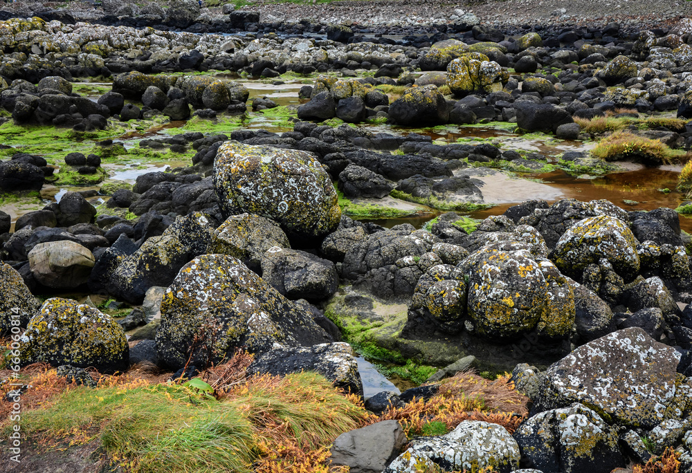 Giant's Causeway, an area of about 40,000 interlocking basalt columns in Northern Ireland Giant's Causeway, an area of about 40,000 interlocking basalt columns in Northern Ireland