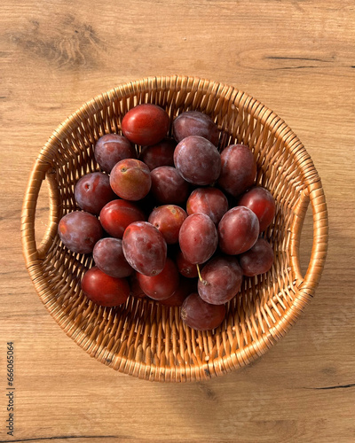 harvesting plums in a basket photo
