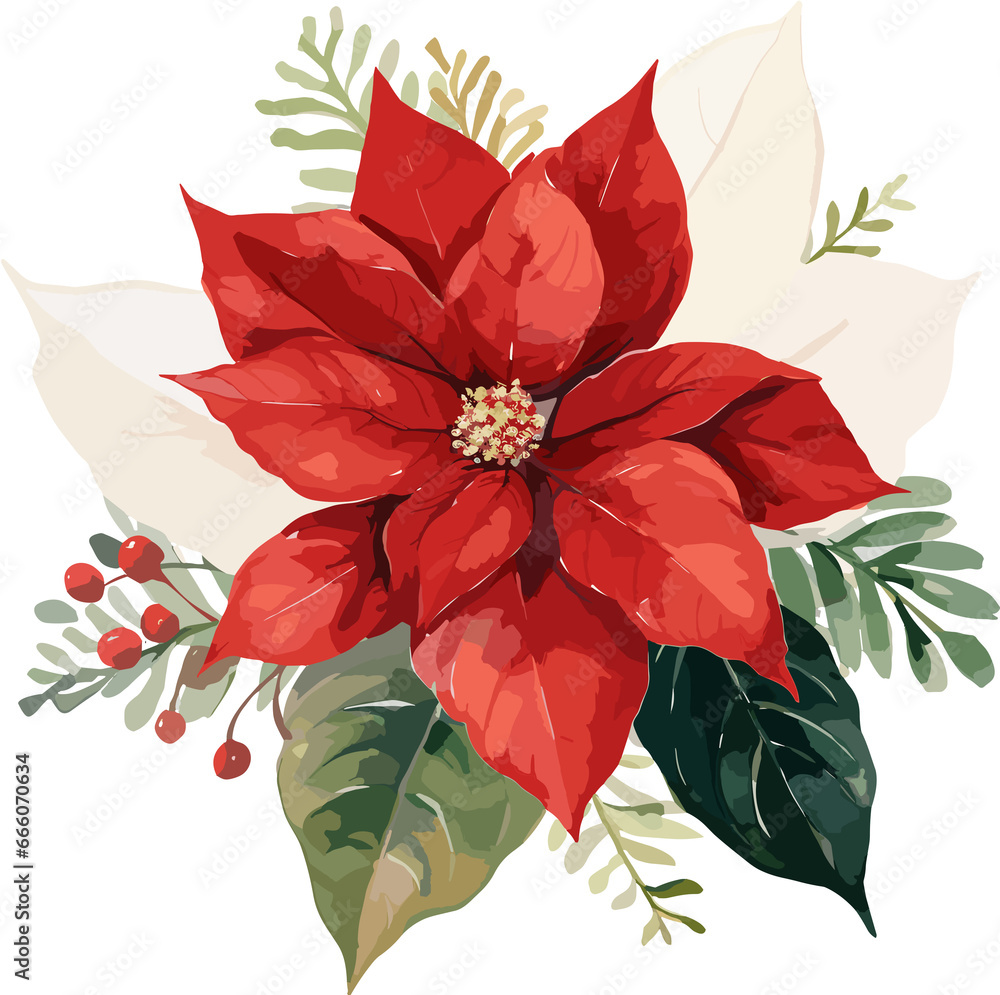 Festive Christmas Poinsettia Watercolor Illustration on Transparent Background