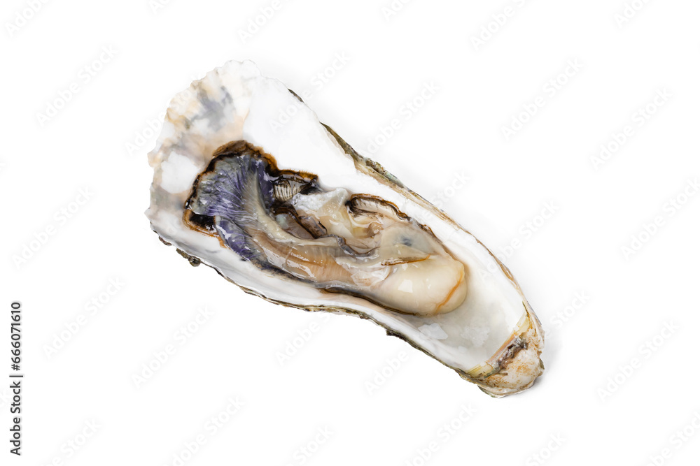 Naklejka premium Fresh raw oyster on white or invisible png background top view