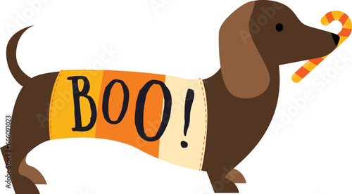 Halloween Dachshund, Halloween Dogs, Candy Corn Costume