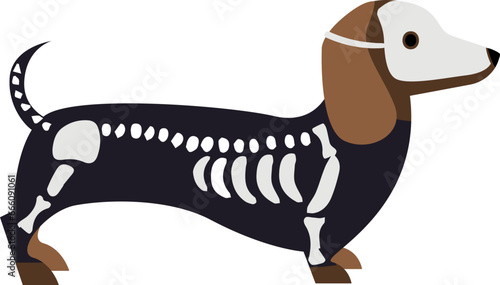 Halloween Dachshund, Halloween Dogs, skeleton costume