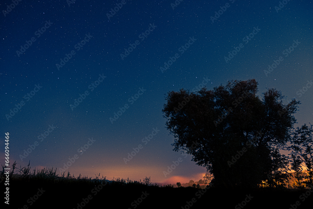 Starry sky with trees and clouds Starry sky with trees and clouds