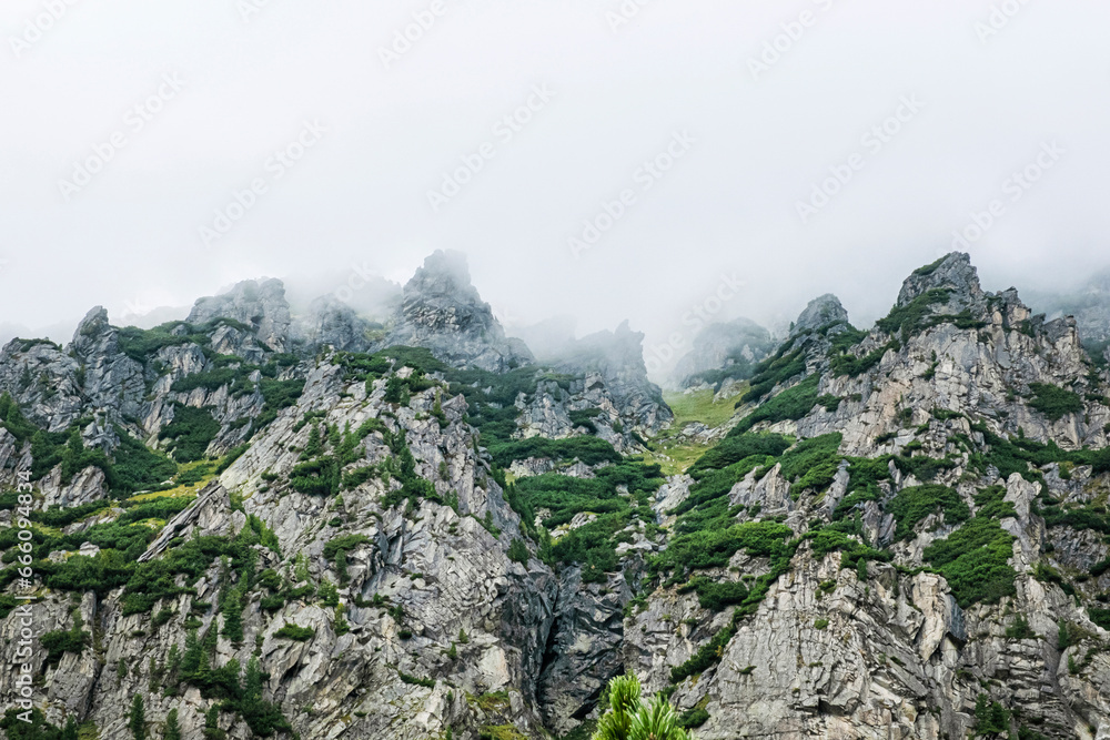 Mlynicka valley, High Tatras mountain, Slovakia