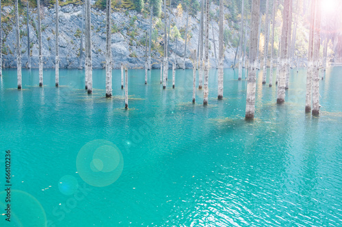 Kaindy lake in the Republic of Kazakhstan with dead tree trunks rising up from its blueish water photo