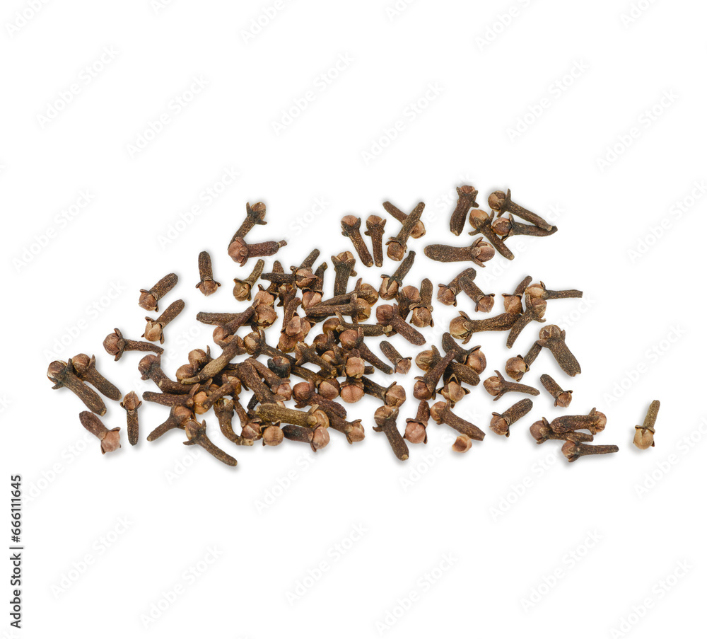 Dried cloves isolated on transparent background (.PNG) Dried cloves isolated on transparent background (.PNG)