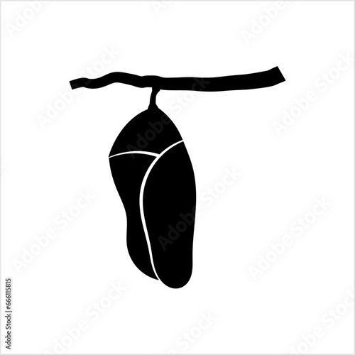 Cocoon Icon, Insect Icon, Pupa Icon